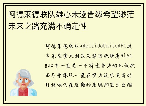 阿德莱德联队雄心未遂晋级希望渺茫未来之路充满不确定性