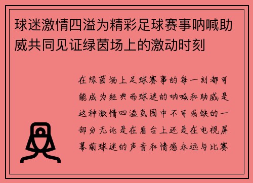 球迷激情四溢为精彩足球赛事呐喊助威共同见证绿茵场上的激动时刻